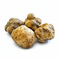 Fresh Tuber magnatum white truffles with naturally irregular pale ochre surfaces