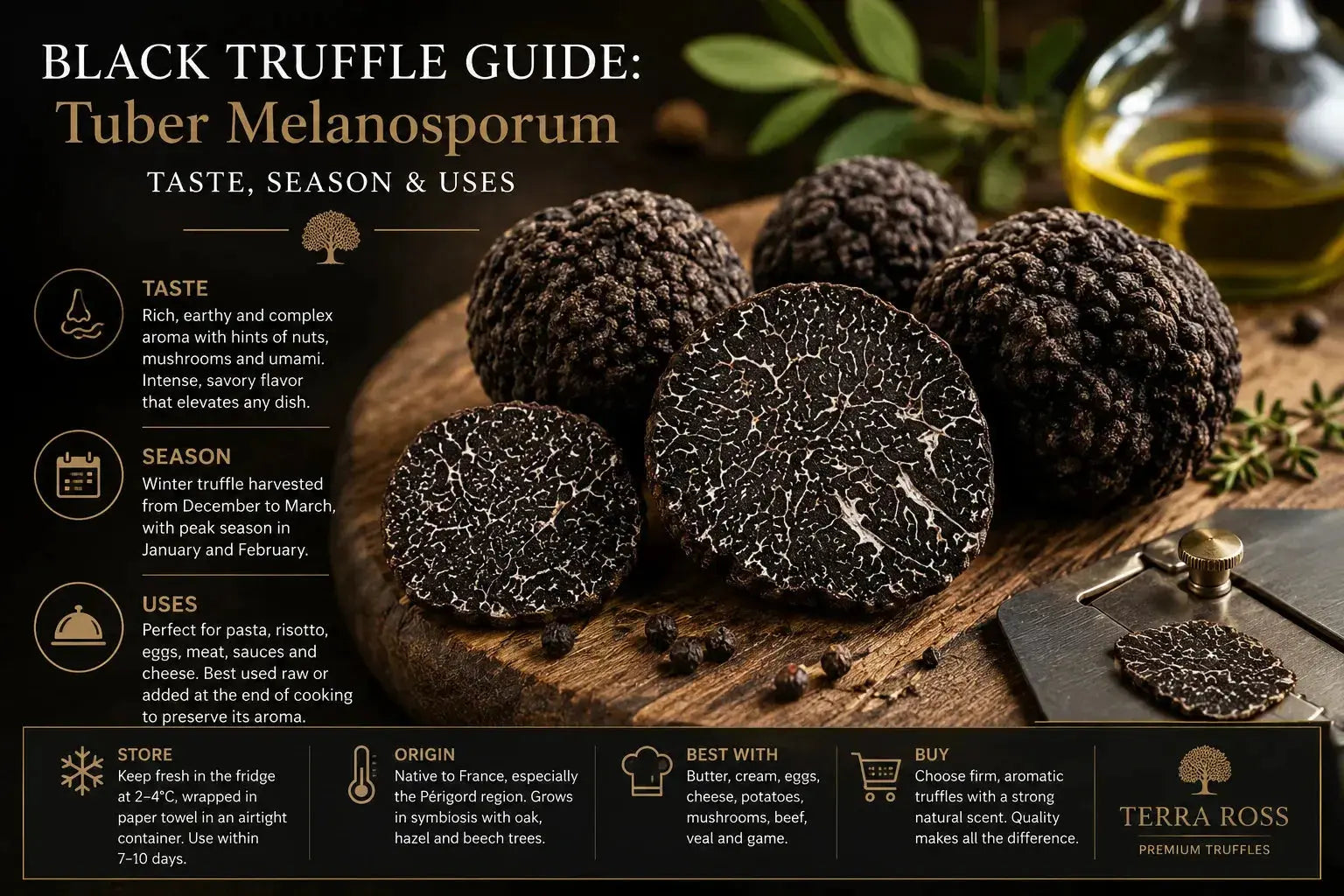 ブラックトリュフガイド | Tuber Melanosporum – Terra Ross