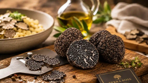 Black Truffle Guide: Tuber melanosporum, Season, Aroma and Uses