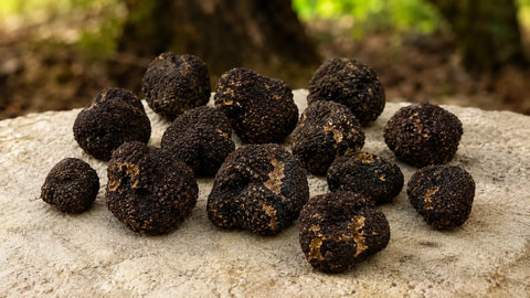 Whole Tuber mesentericum truffles arranged on a light stone surface with a softly blurred woodland background