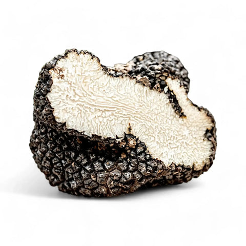 Whole and cut Black Summer Truffles showing dark warty skin and a marbled brown interior