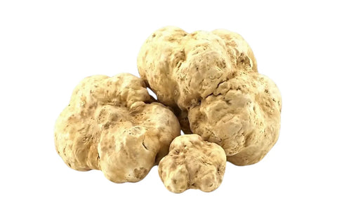 Whole Tuber magnatum white truffles showing natural variation in size, shape and pale ochre colour