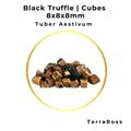 Black summer truffle cubes measuring 8 × 8 × 8 mm in brine