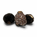Fresh Tuber mesentericum Bagnoli Truffles selected as B Grade