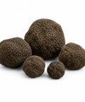 Whole fresh Black Summer Truffles – Tuber aestivum EXTRA Grade