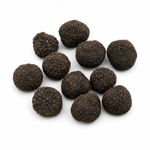 Fresh Tuber uncinatum Burgundy Truffles selected as B Grade