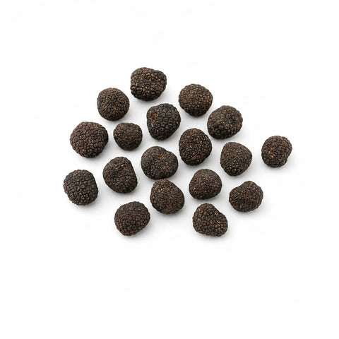 Fresh Tuber uncinatum Burgundy Truffles selected as C Grade