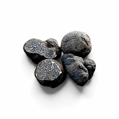Four fresh Tuber macrosporum Smooth Black Truffles selected for A Grade culinary use
