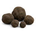Whole fresh Summer Truffles – Tuber aestivum EXTRA Grade