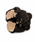 Cut and partially broken fresh Tuber aestivum C Grade truffles showing pale marbled interiors
