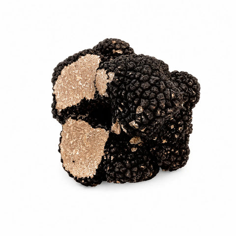 Cut and partially broken fresh Tuber aestivum C Grade truffles showing pale marbled interiors