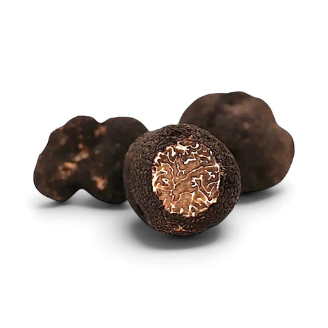 Fresh Tuber brumale A Grade whole Black Winter Truffles arranged on a dark surface