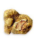 Big fresh Tuber magnatum white truffles showing natural exterior colour and original internal marbling