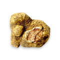 Big fresh Tuber magnatum white truffles showing natural exterior colour and original internal marbling