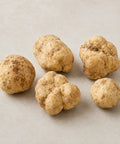 Medium-size fresh Tuber magnatum white truffles showing natural pale ochre colour and exterior variation