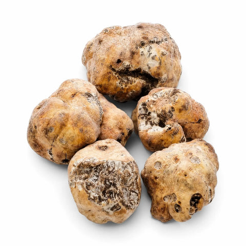 Whole and cut frozen Spring White Truffle – Tuber borchii on a white background