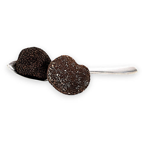 showing picture of fresh tuber melanosporum product description